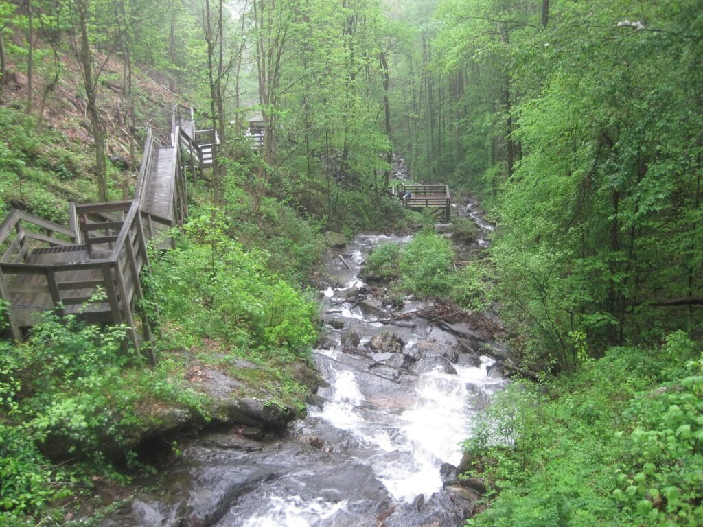 Metal staircase climbing alongside Amicalola Falls in Amicalola Falls State Park