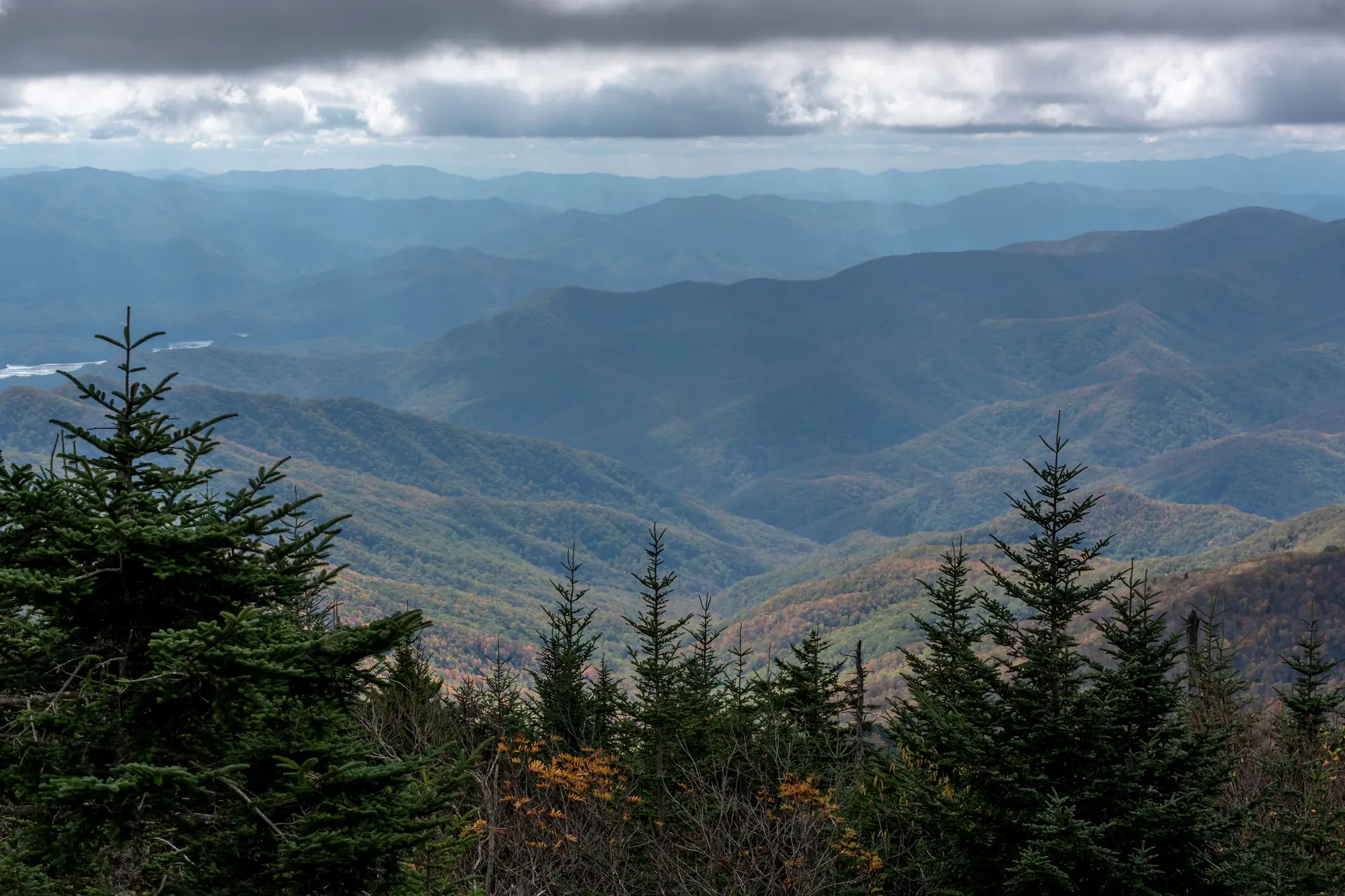 Layered blue Appalachian ridgelines in Georgia under low cloud, with pines in the foreground