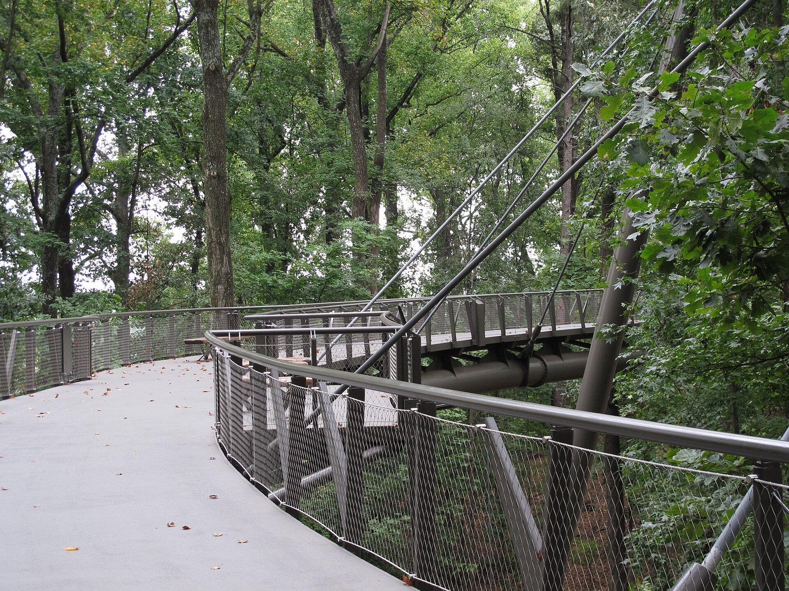 Elevated Canopy Walk bridge at the Atlanta Botanical Garden