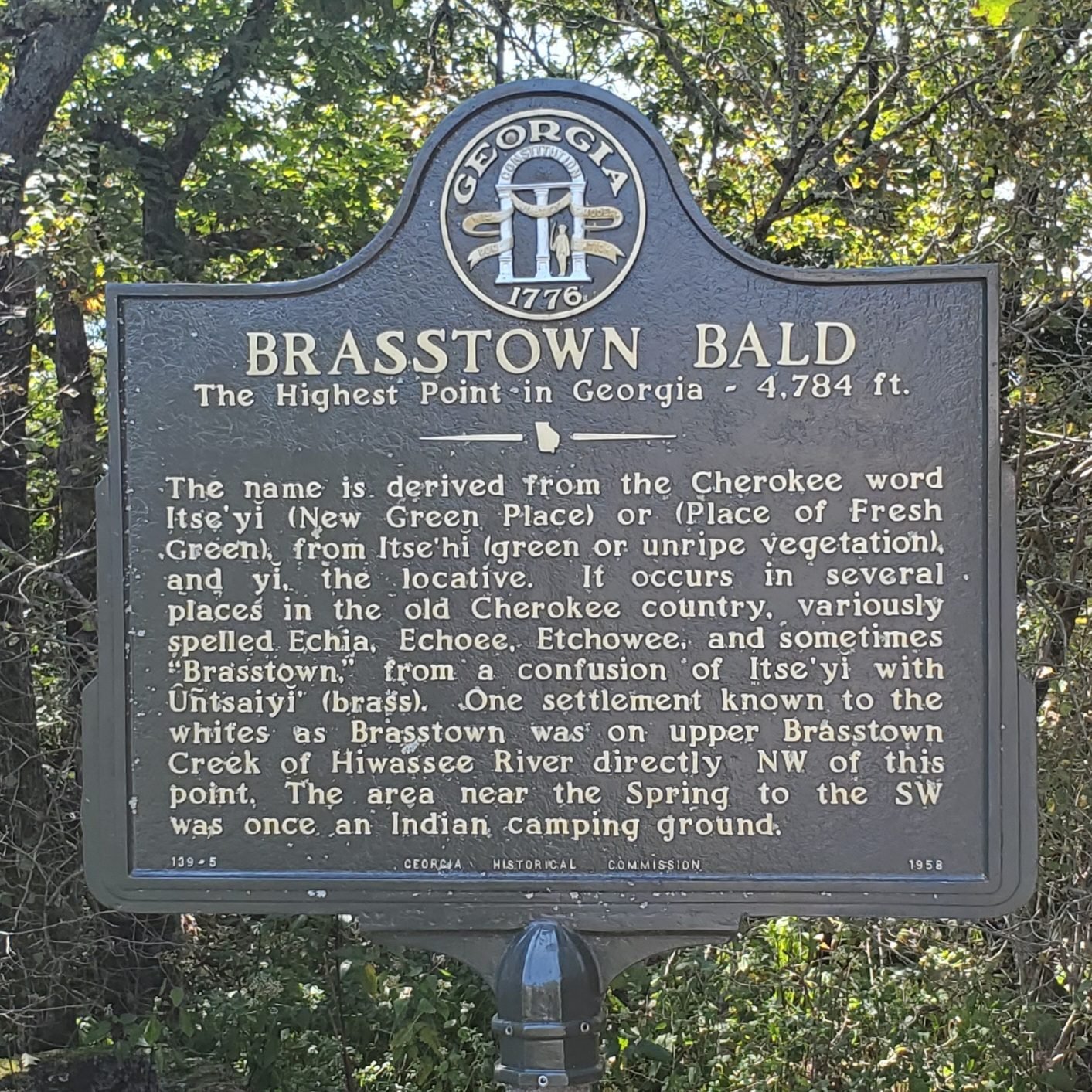 The Georgia historical marker for Brasstown Bald, "The Highest Point in Georgia, 4,784 ft."