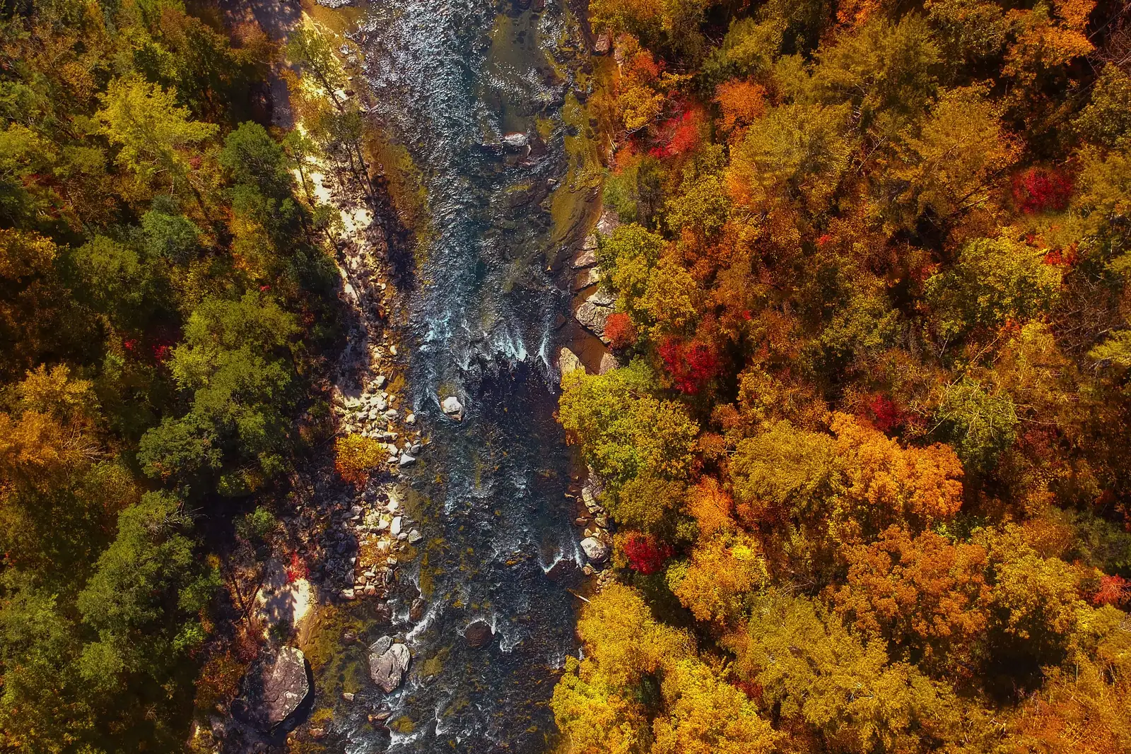 The Chattooga River winding through autumn forest in Georgia, seen from the air