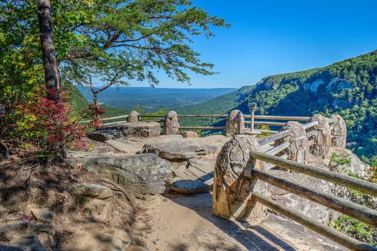 Canyon rim view from the Overlook Trail at Cloudland Canyon State Park, Georgia