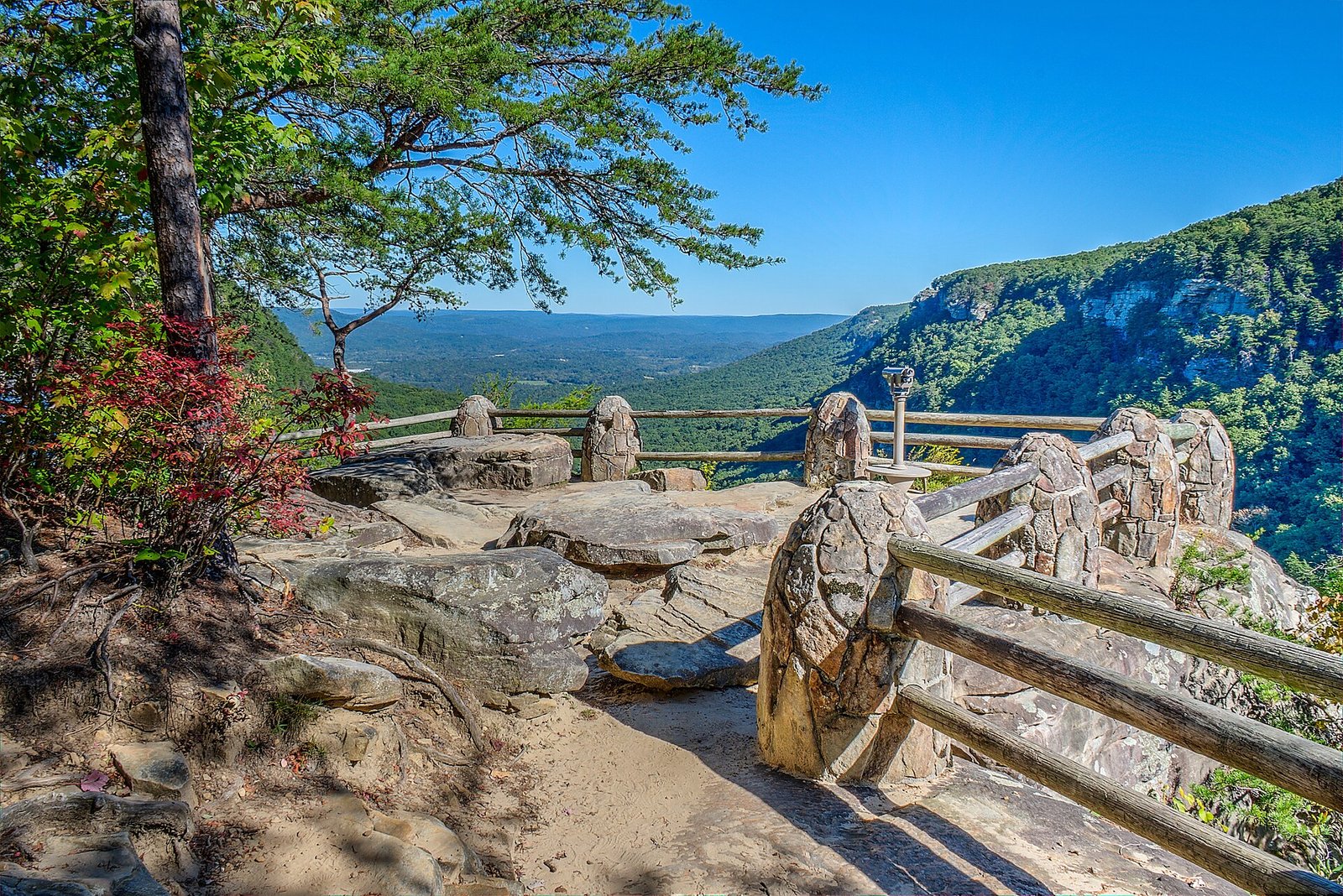 Canyon rim view from the Overlook Trail at Cloudland Canyon State Park, Georgia