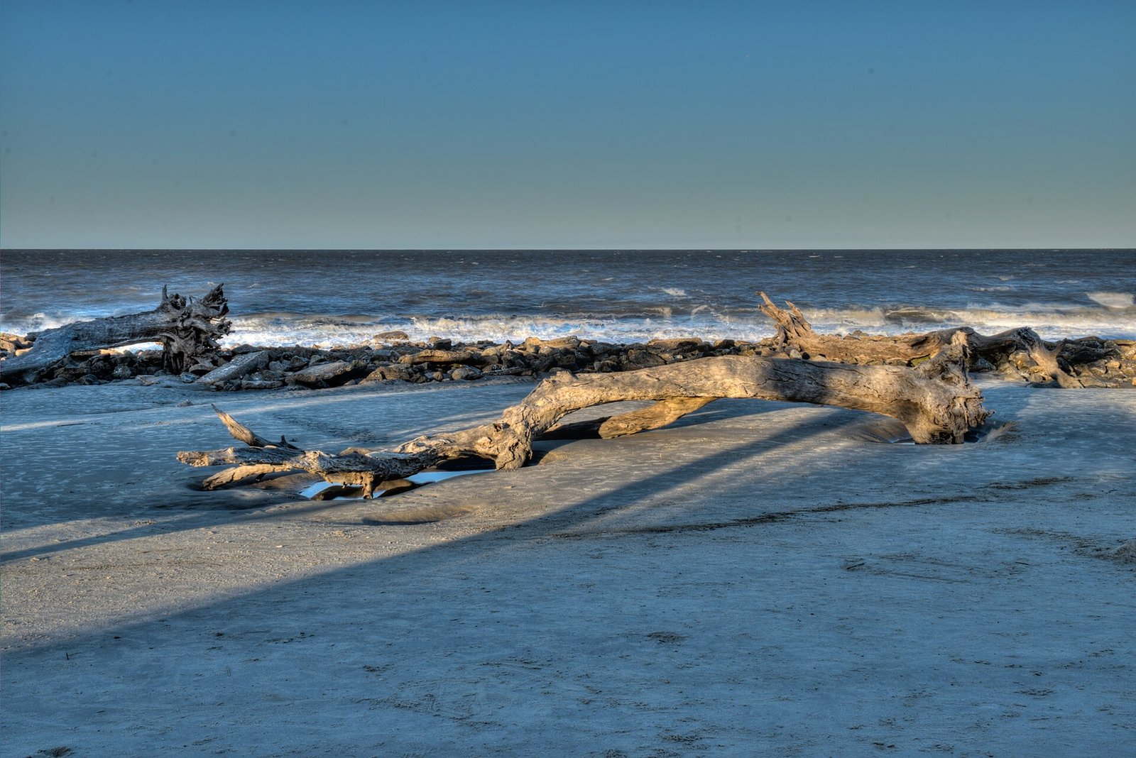 Sun-bleached fallen trees at Driftwood Beach on Jekyll Island