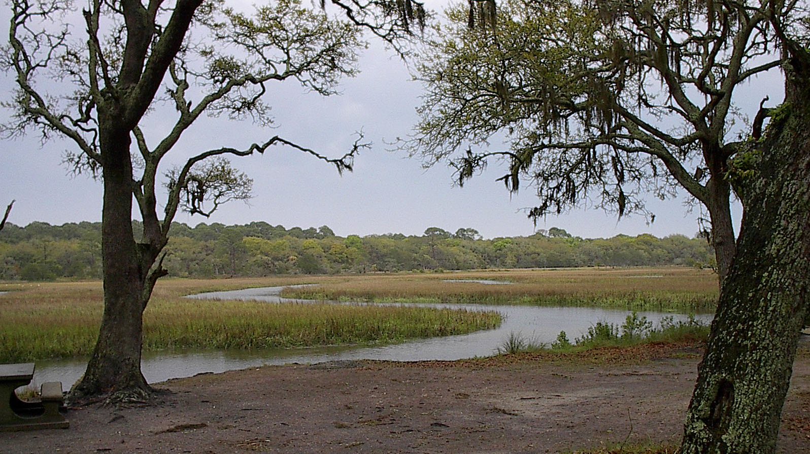 Salt marsh and tidal creek on Jekyll Island, Georgia