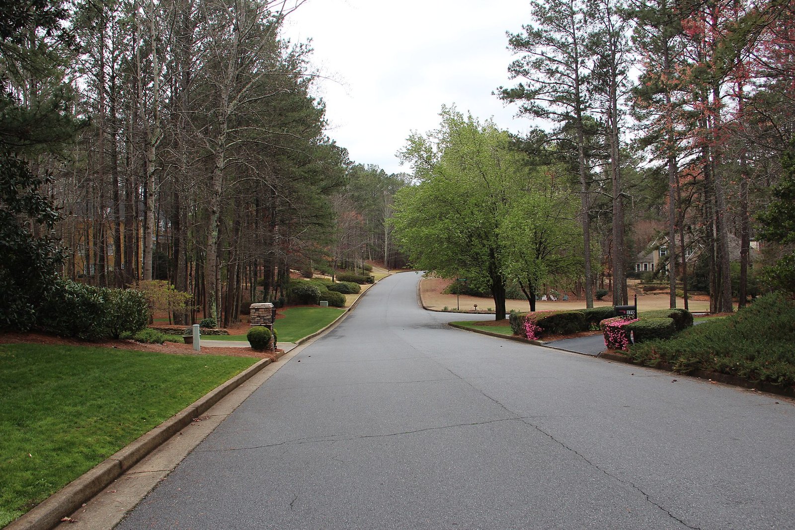 Single-family homes in an Atlanta residential neighborhood reflecting local housing costs