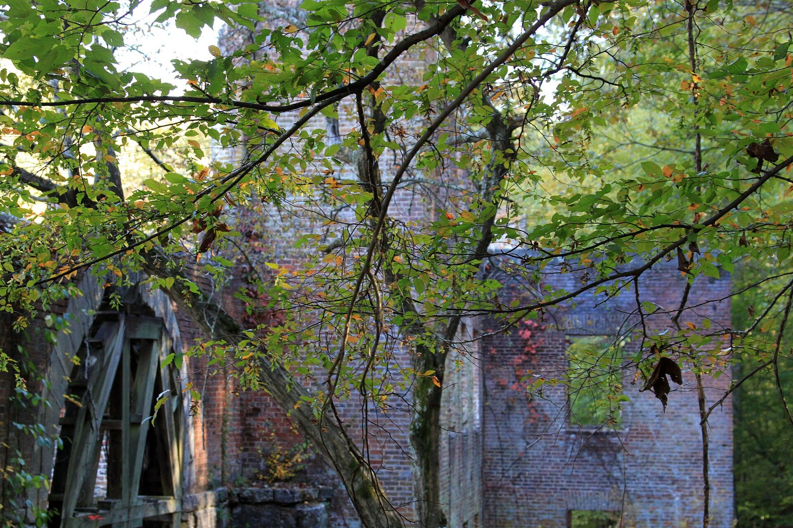New Manchester Mill ruins along the Red Trail at Sweetwater Creek State Park