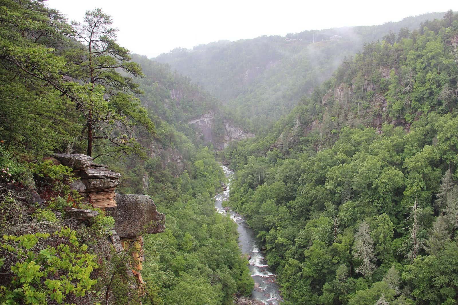 Tallulah Gorge seen from a rim overlook in Tallulah Gorge State Park, North Georgia