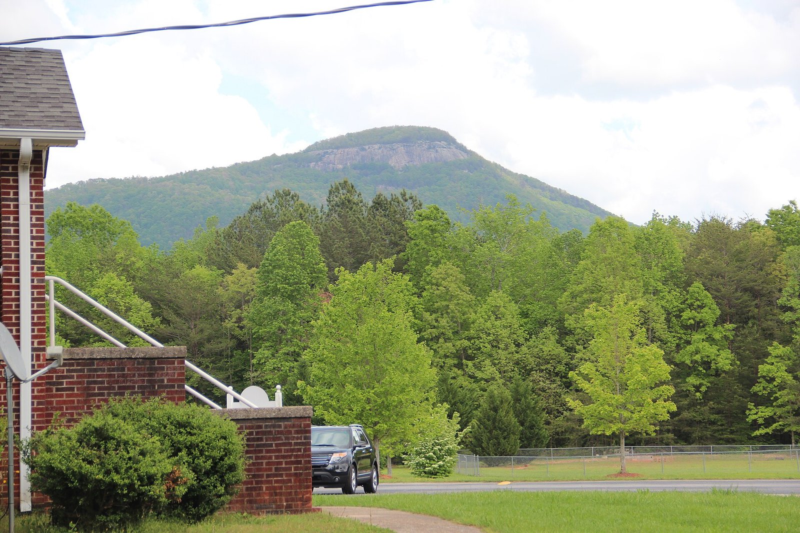 Vineyard with Yonah Mountain in the background near Cleveland, Georgia