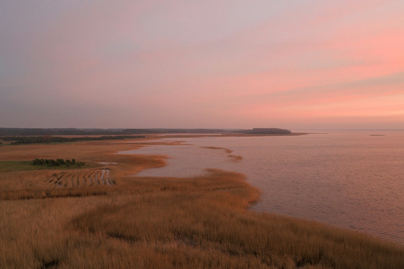 Golden marsh grasses along a calm coastal bay under a pink sunset sky (illustrative, not verified as Georgia).