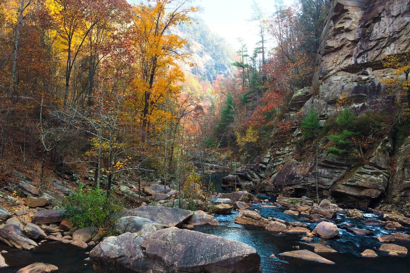 A rocky river running through a forested gorge with autumn-coloured trees and a sandstone cliff.