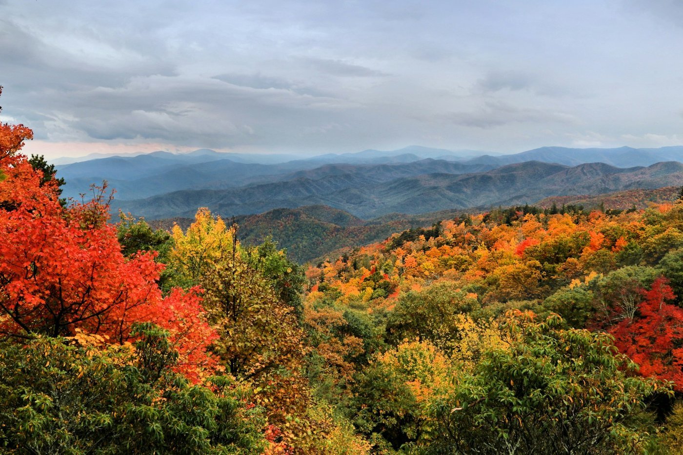Autumn foliage in red, orange and yellow across layered Blue Ridge mountain ridges under a cloudy sky (illustrative, taken in North Carolina).