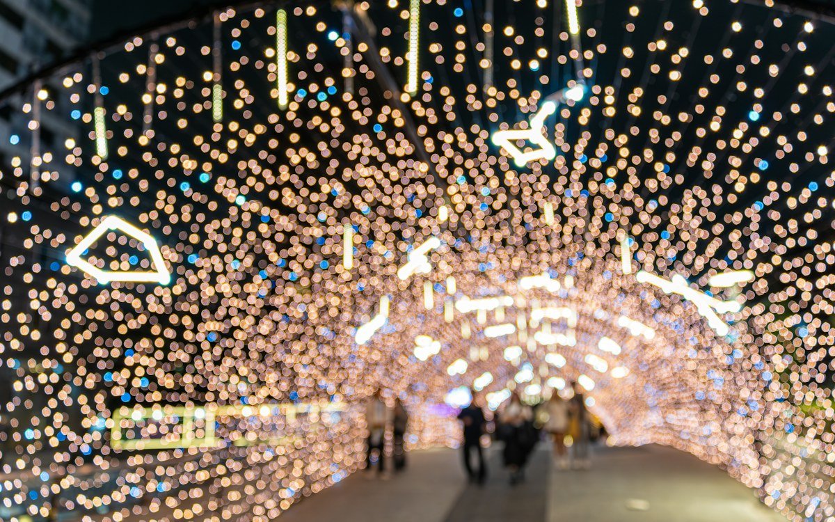 Visitors walking through a long tunnel of twinkling holiday lights at night