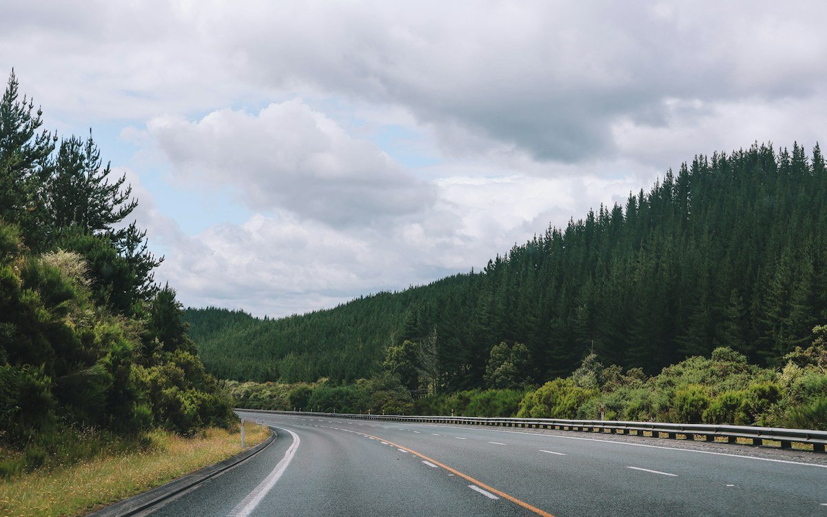 A winding highway curving through pine-covered hills under a cloudy sky