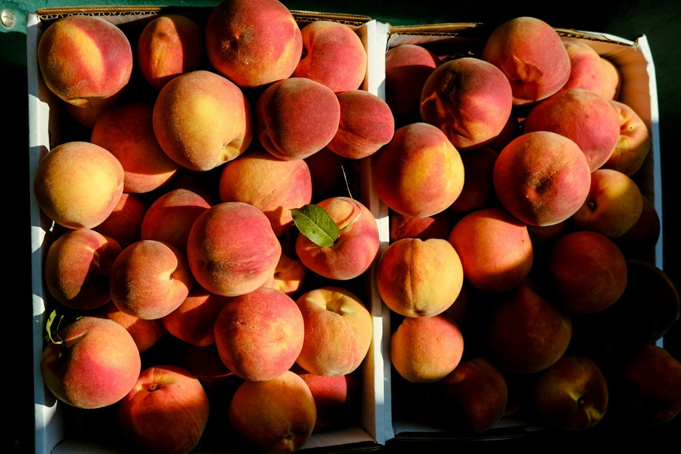 Boxes of fresh peaches, one of Georgia's official state foods, in warm light