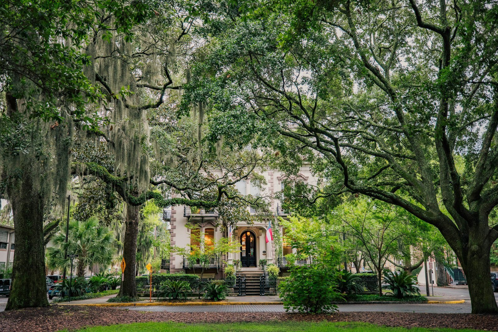 Live oaks hung with Spanish moss around a historic house on a Savannah, Georgia square