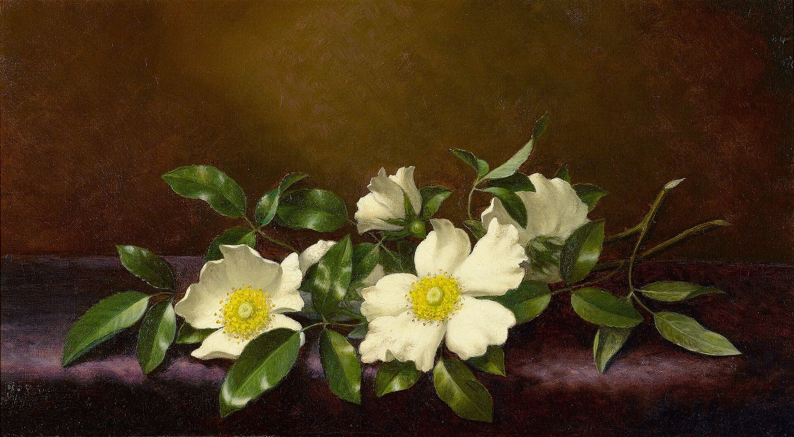 Georgia state symbols: white Cherokee roses, the state floral emblem, in an 1894 painting by Martin Johnson Heade