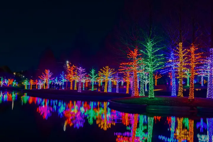 Trees wrapped in colorful holiday lights reflected in a pond at night