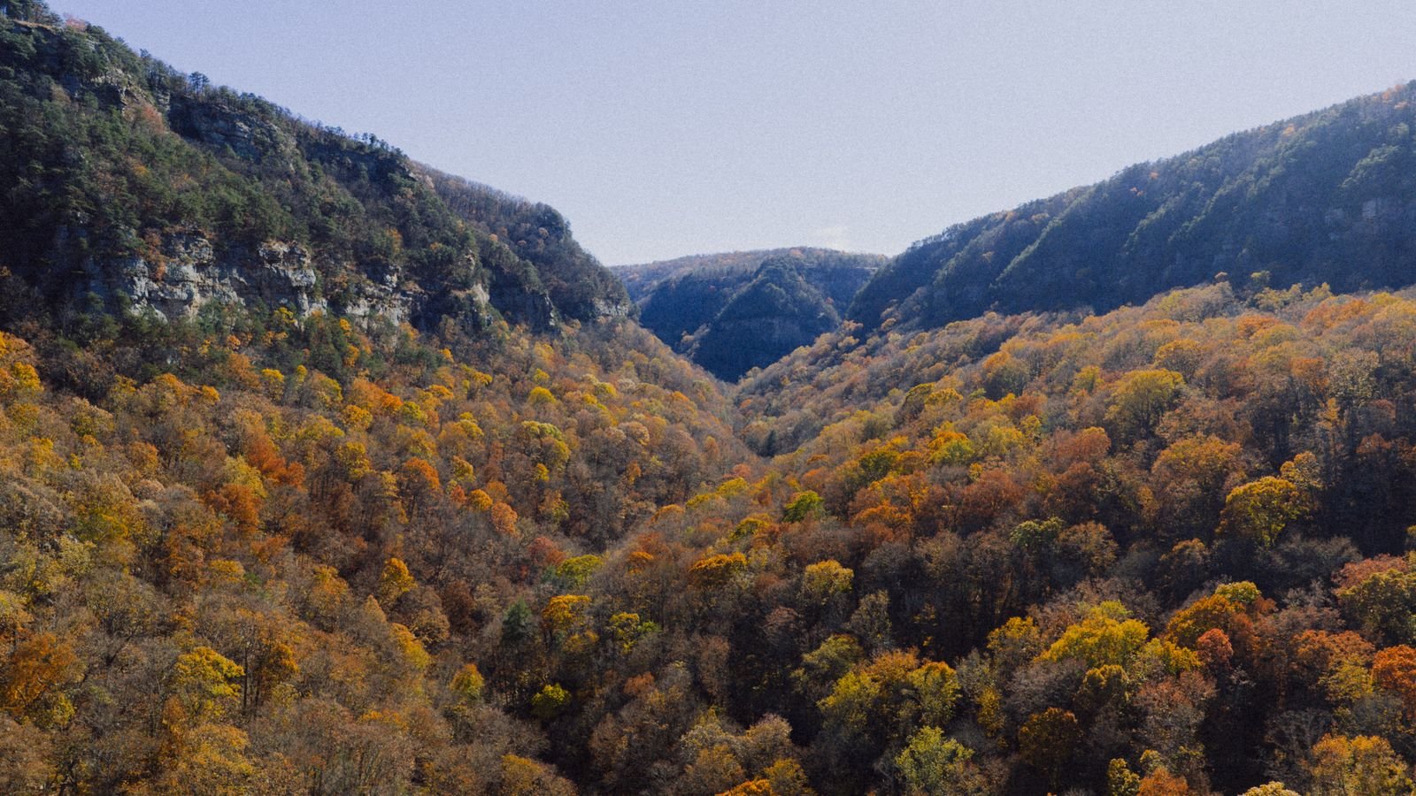 Aerial view of an autumn-colored forest filling a mountain canyon in Georgia