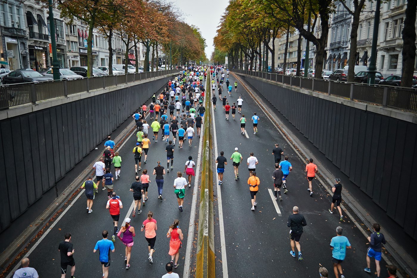 Runners seen from behind on a tree-lined city road during an autumn road race
